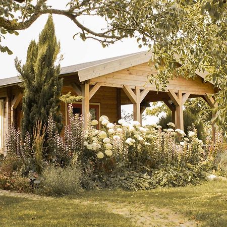 Chalet Ben In Broek Benningbroek Exterior foto