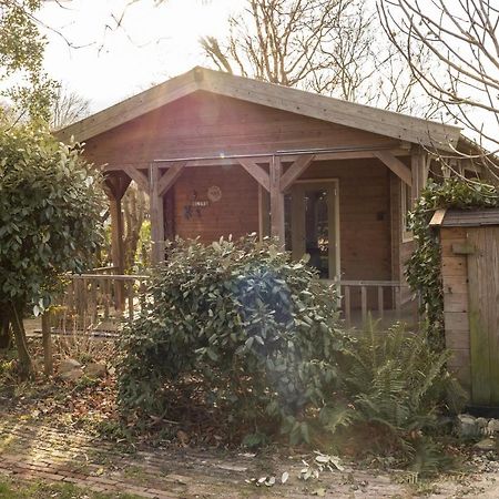 Chalet Ben In Broek Benningbroek Exterior foto