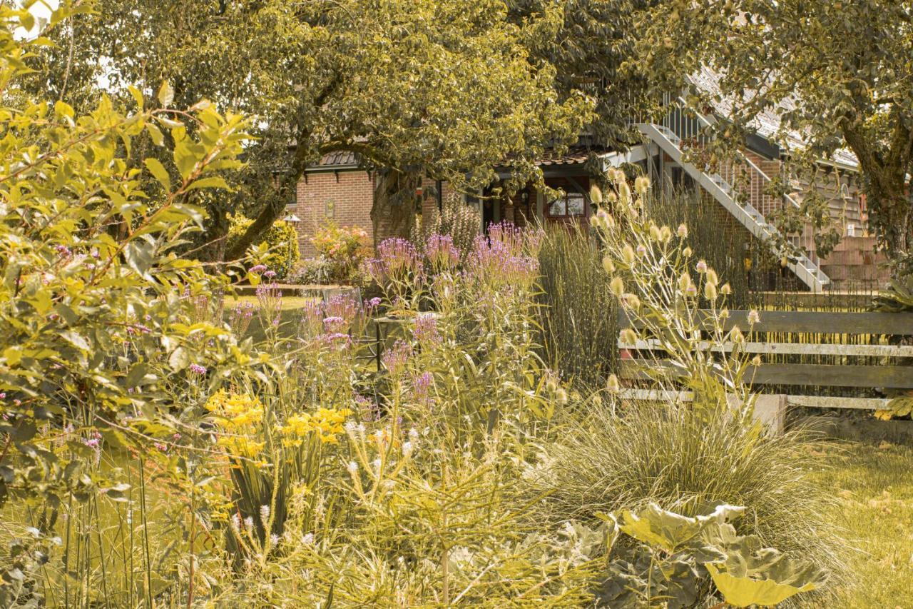 Chalet Ben In Broek Benningbroek Exterior foto